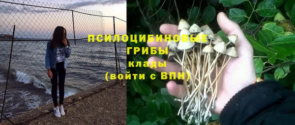 2c-b Алексин