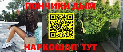 тгк Бийск