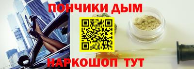 тгк Бийск