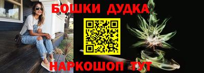 тгк Бийск