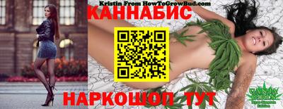 тгк Бийск