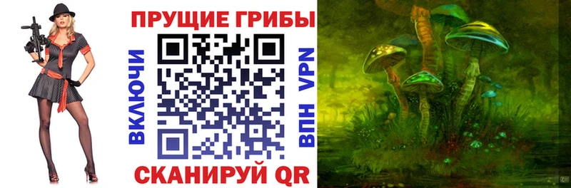 Псилоцибиновые грибы мицелий  как найти наркотики  Еманжелинск 