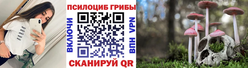 Псилоцибиновые грибы Cubensis Еманжелинск