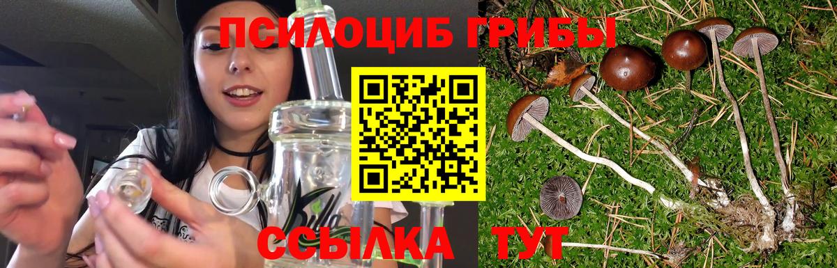 Псилоцибиновые грибы прущие грибы Еманжелинск