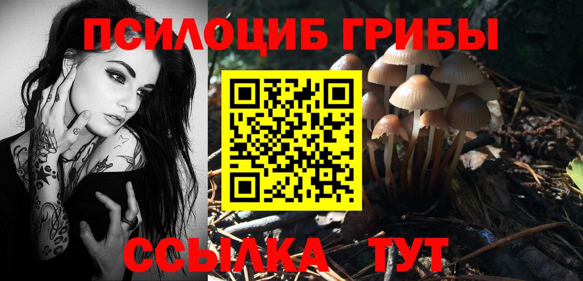 купить наркотики цена  Галлюциногенные грибы прущие грибы  Вход с VPN  Еманжелинск  Галлюциногенные грибы MAGIC MUSHROOMS 